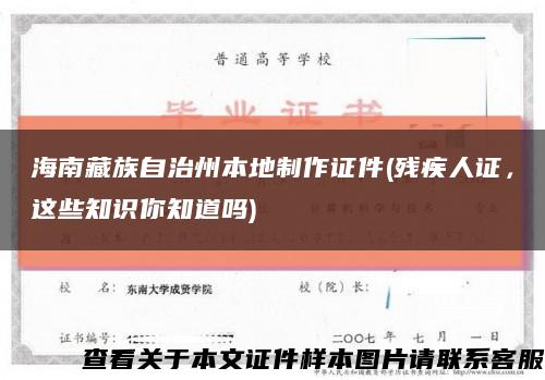 海南藏族自治州本地制作證件(殘疾人證，這些知識你知道嗎)縮略圖