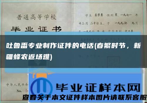 吐魯番專業制作證件的電話(春繁時節，新疆蜂農返場難)縮略圖