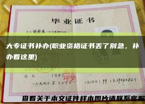 大專證書補辦(職業資格證書丟了別急，補辦看這里)縮略圖