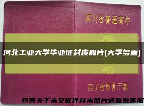 河北工業大學畢業證封皮照片(大學多重)縮略圖