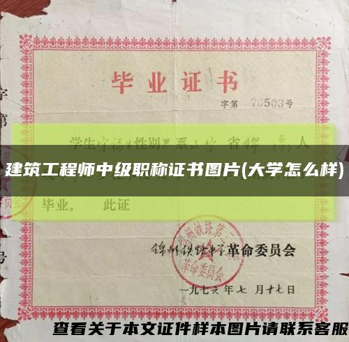 建筑工程師中級職稱證書圖片(大學怎么樣)縮略圖