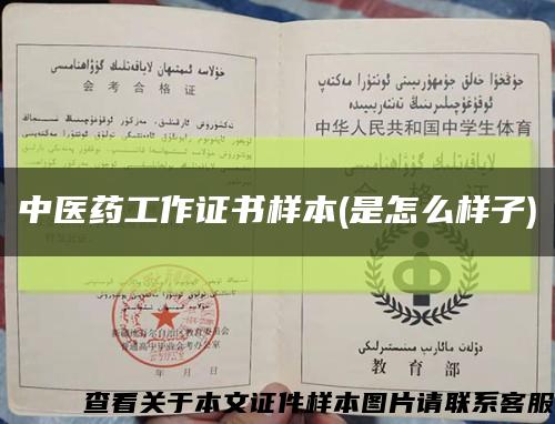 中醫藥工作證書樣本(是怎么樣子)縮略圖