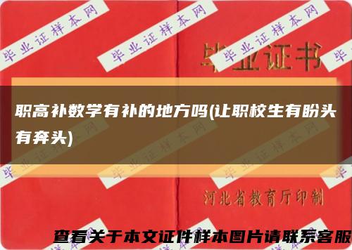 職高補數學有補的地方嗎(讓職校生有盼頭有奔頭)縮略圖