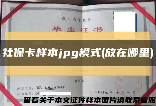 社?？颖緅pg模式(放在哪里)縮略圖