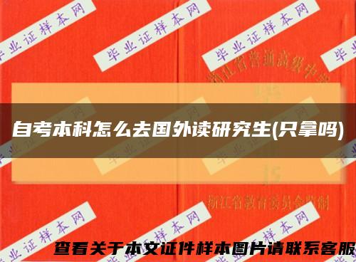 自考本科怎么去國外讀研究生(只拿嗎)縮略圖