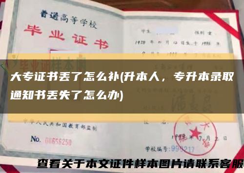 大專證書丟了怎么補(升本人，專升本錄取通知書丟失了怎么辦)縮略圖