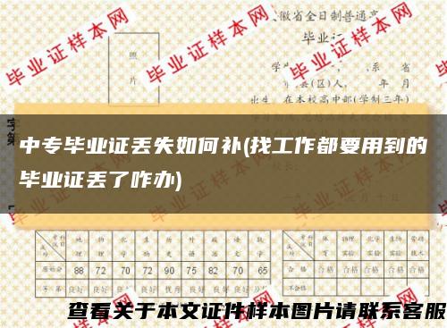 中專畢業證丟失如何補(找工作都要用到的畢業證丟了咋辦)縮略圖