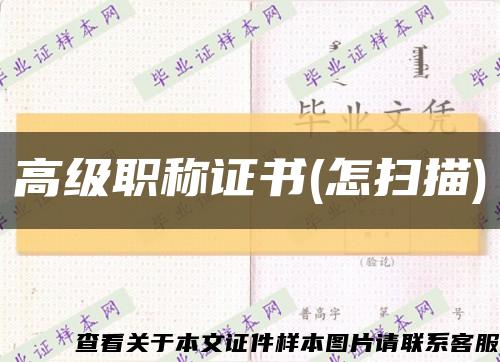 高級職稱證書(怎掃描)縮略圖