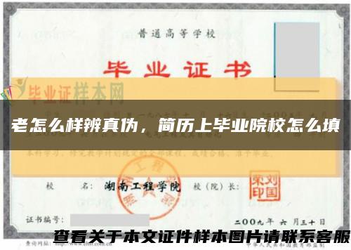 老怎么樣辨真偽，簡歷上畢業院校怎么填縮略圖