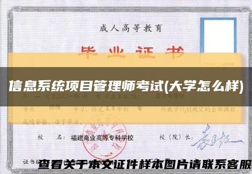 信息系統項目管理師考試(大學怎么樣)縮略圖