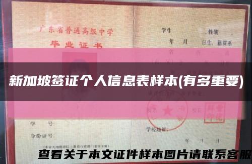 新加坡簽證個人信息表樣本(有多重要)縮略圖