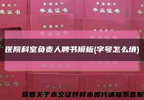 醫院科室負責人聘書模板(字號怎么填)縮略圖