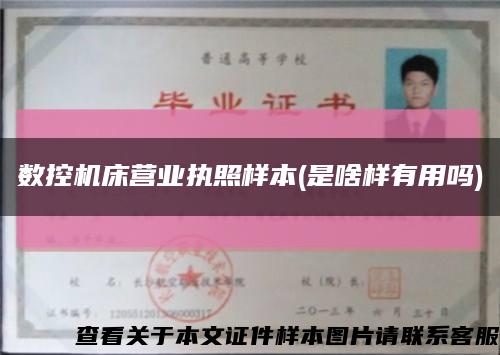 數控機床營業執照樣本(是啥樣有用嗎)縮略圖