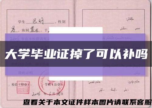 大學畢業證掉了可以補嗎縮略圖