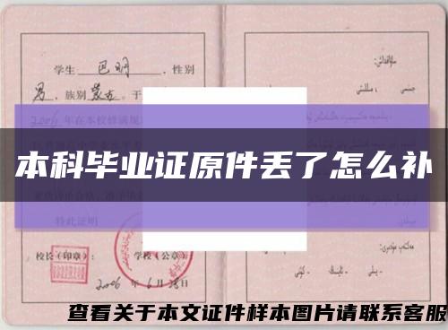 本科畢業證原件丟了怎么補縮略圖