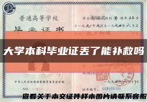 大學本科畢業證丟了能補救嗎縮略圖
