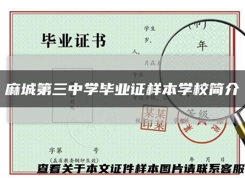 麻城第三中學畢業證樣本學校簡介縮略圖