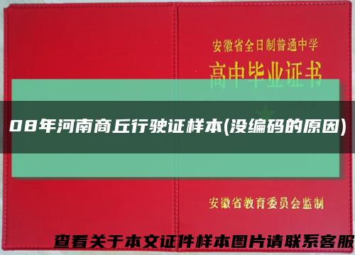 08年河南商丘行駛證樣本(沒編碼的原因)縮略圖
