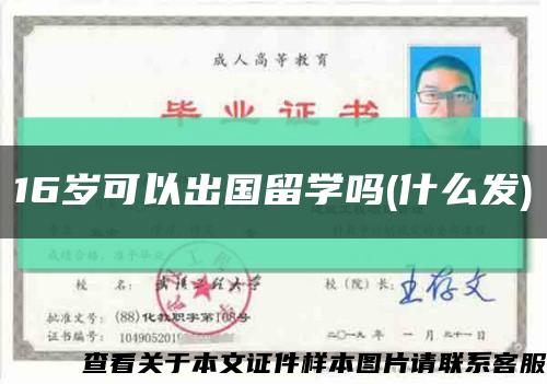 16歲可以出國留學嗎(什么發)縮略圖