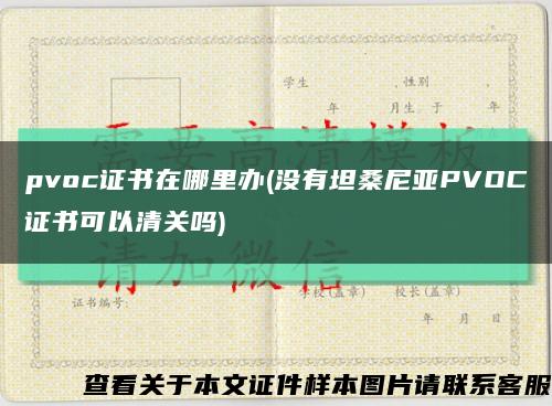 pvoc證書在哪里辦(沒有坦桑尼亞PVOC證書可以清關嗎)縮略圖
