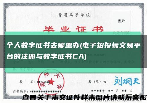 個人數字證書去哪里辦(電子招投標交易平臺的注冊與數字證書CA)縮略圖