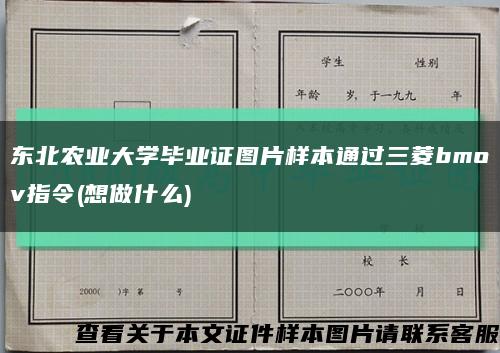 東北農業大學畢業證圖片樣本通過三菱bmov指令(想做什么)縮略圖