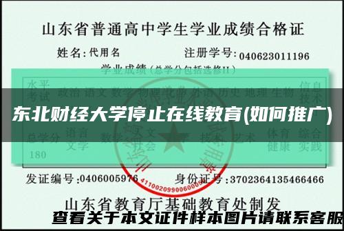 東北財經大學停止在線教育(如何推廣)縮略圖