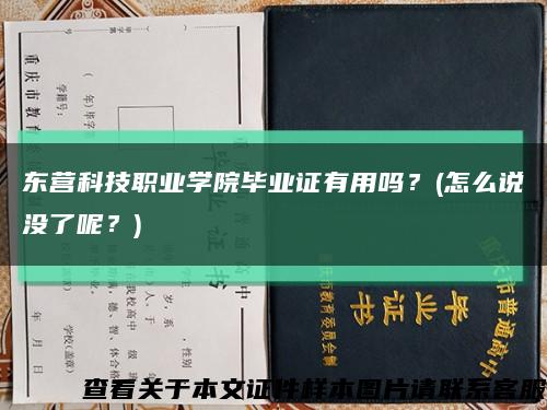 東營科技職業學院畢業證有用嗎？(怎么說沒了呢？)縮略圖