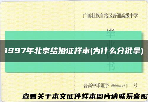 1997年北京結婚證樣本(為什么分批拿)縮略圖