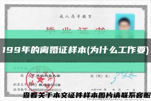199年的離婚證樣本(為什么工作要)縮略圖