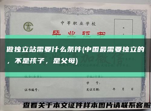做獨立站需要什么條件(中國最需要獨立的，不是孩子，是父母)縮略圖