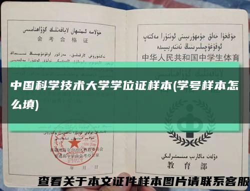 中國科學技術大學學位證樣本(學號樣本怎么填)縮略圖