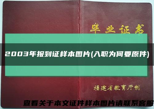 2003年報到證樣本圖片(入職為何要原件)縮略圖