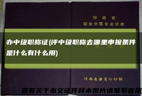 辦中級職稱證(評中級職稱去哪里申報條件是什么有什么用)縮略圖