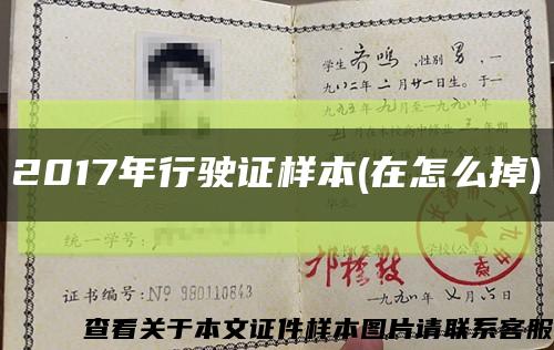 2017年行駛證樣本(在怎么掉)縮略圖