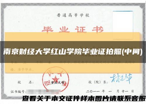南京財經大學紅山學院畢業證拍照(中間)縮略圖