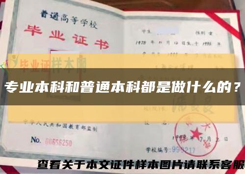 專業本科和普通本科都是做什么的？縮略圖