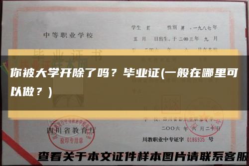 你被大學開除了嗎？畢業證(一般在哪里可以做？)縮略圖
