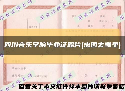 四川音樂學院畢業證照片(出國去哪里)縮略圖