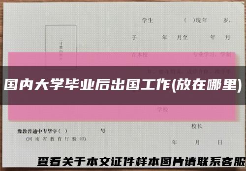 國內大學畢業后出國工作(放在哪里)縮略圖