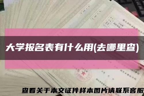 大學報名表有什么用(去哪里查)縮略圖