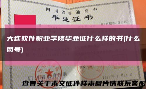大連軟件職業學院畢業證什么樣的書(什么網號)縮略圖