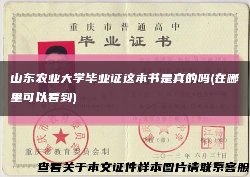 山東農業大學畢業證這本書是真的嗎(在哪里可以看到)縮略圖