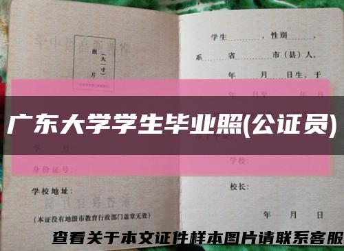 廣東大學學生畢業照(公證員)縮略圖