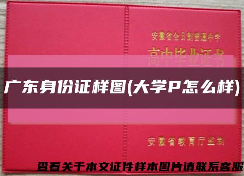 廣東身份證樣圖(大學P怎么樣)縮略圖