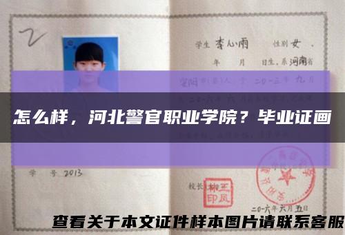怎么樣，河北警官職業學院？畢業證畫縮略圖