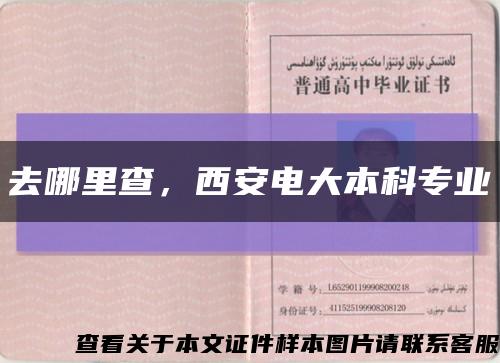 去哪里查，西安電大本科專業縮略圖