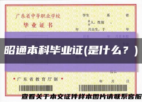 昭通本科畢業證(是什么？)縮略圖