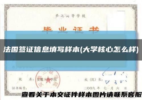 法國簽證信息填寫樣本(大學核心怎么樣)縮略圖