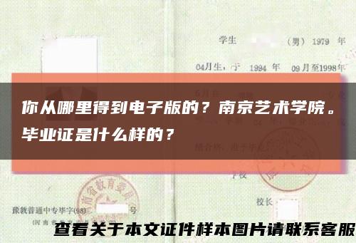 你從哪里得到電子版的？南京藝術學院。畢業證是什么樣的？縮略圖